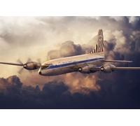 Bristol 175 Britannia African Safari - 1:144e - Roden