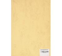Bristol marmoleada dIN a4 200 gr. Ocre Paquet de 100 h