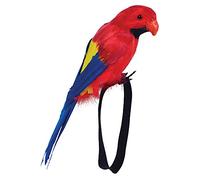 Bristol Novelty BA351 Perroquet à plumes pour poignet, unisexe, pour adulte, taille unique Halloween
