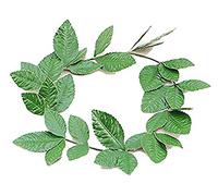 Bristol Novelty BA480 Couronne avec Fausses Feuilles de Laurier
