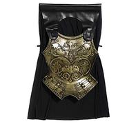 De L'Adulte Homme Guerrier Romain Poitrine Plaque Cape Accessoire Déguisement