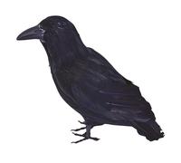 Bristol Novelty - Corbeau (BN1689)