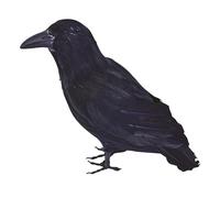 Bristol Novelty – Corbeau à plumes BA702 – Noir – Taille unique – Halloween