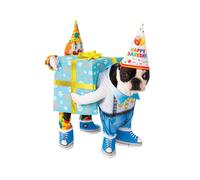 Bristol Novelty - Déguisement de chien, cadeaux, anniversaire BN4814 (L) (Bleu/Blanc/Jaune)
