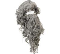 Bristol Novelty - Ensemble barbe et perruque "Wizard" BN6095 (taille unique) (Gris)