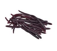 Bristol Novelty GJ429 Vers de terre, accessoires pour Halloween, pour adultes, marron, taille unique Halloween