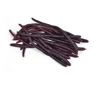 Bristol Novelty GJ429 Vers de terre, accessoires pour Halloween, pour adultes, marron, taille unique Halloween