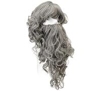 Bristol Novelty Grey | pour Adulte | Gris Ensemble Perruque et Barbe Wizard Budget, BW573, Taille Unique