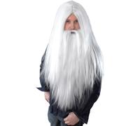 Bristol Novelty Perruque de Sorcier Hommes avec Barbe, Longue BN1866 (Taille Unique) (Blanc)
