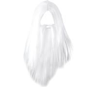 Bristol Novelty Perruque de Sorcier Hommes avec Barbe, Longue BN1866 (Taille Unique) (Gris)
