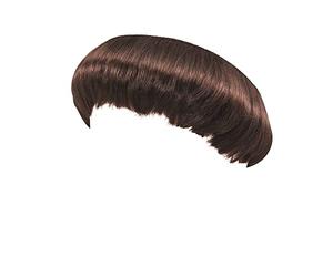 Bristol Novelty - Perruque MOINE - Homme (Taille unique) (Marron)