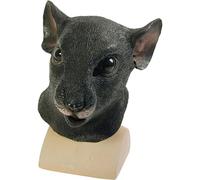 Bristol Novelty Masque de rat unisexe pour adultes taille unique multicolore