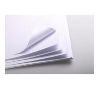 Bristol rame 125F 50x65cm 205g feuilles quadrillées 5/5
