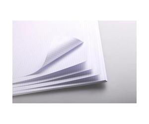 Bristol rame 125F 50x65cm 205g feuilles quadrillées 5/5