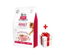 Brit Care Cat Grain-Free Aldut Activity Support avec poulet et dinde 400g+Surprise