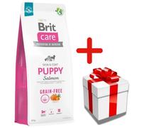 BRIT CARE Dog Grain-free Puppy Salmon 12kg+Surprise