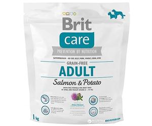 BRIT Care Grain-Free Croquette Saumon/Pommes de Terre sans Céréales pour Chien Adulte 3 kg