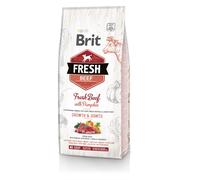 BRIT Fresh beef with pumpkin puppy large - Boeuf frais & citrouille pour chiot de grandes races - 12 kg