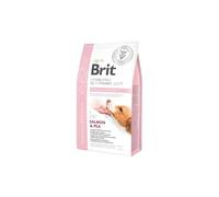 Brit GF Veterinary Diet Dog Hypoallergenic Nourriture pour chien hypoallergénique 2 kg