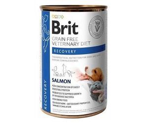 BRIT Veterinary Diet Recovery Salmon Pour convalescence de chien ou de chat 400 g