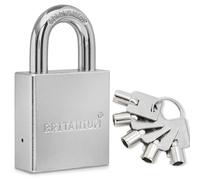 Britanium® SFL60 Cadenas Container Antivol avec 5 Clés - Anse 12 mm en Alliage de Bore, Corps en Acier Chrome Satiné | Serrure de Sécurité pour Portail, Garage, Remorque Attelée