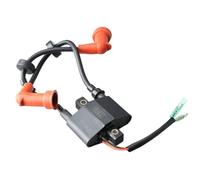 BritBolt 6f6 85570 Assemblage de Bobine d'allumage 6F6 85570 01 6F6 85570 00 Compatible avec Le Moteur extérieur 36HP 40HP J Old Model T36 Motor Pièces