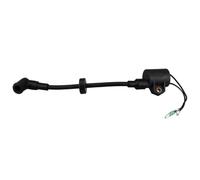 BritBolt Bobine de Moteur Hors-Bord Compatible pour 2 Traits 20 25 30 Moteur de Bateau s'adapte également N 85570 00 et N 85570 01