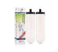 British Berkefeld Doulton Lot de 2 bougies filtrantes compatibles avec le système de filtre à eau Berkey Gravity BB9-2