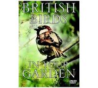 British Birds In Your Garden