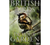 British Birds In Your Garden