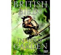 British Birds In Your Garden