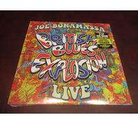 British Blues Explosion Live
