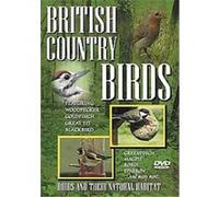 British Country Birds