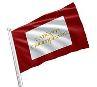 British Empire Jacobitism Jacobite Rising 1745 Standard 1688 1745 Rebellion Savagery Britain Kingdom Drapeau bannière couleur vive Œillets en laiton double couture