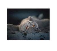 British Shorthair，1000 Pièces Puzzle pour Adultes Enfants Adolescents, Intelligence Soulagement du Stress Divertissement Bois Jouets Bricolage Anniversaire（75x50cm）-AE75
