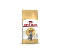 British Shorthair Adult cats dry food 4 kg