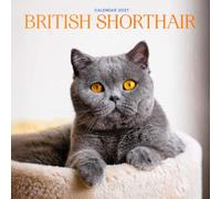 British Shorthair Calendar 2027: Cat Portraits and Breed Scenes