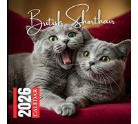 British Shorthair Cats 2026 Calendar