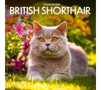 British Shorthair Cats Calendar 2026: Charming Photography of Elegant & Plush British Shorthairs