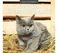 British Shorthair Cats - Calendrier mural carré 2026 - par Red Robin Publishing