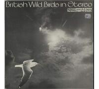 British Wild Birds In Stereo