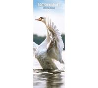 British Wildlife Calendrier fin 2026
