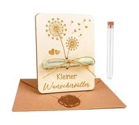 BRITIVIVE Cadeau en argent - Cadeau d'anniversaire - Confirmation - Cadeau amusant - En bois - Pour Noël, anniversaire, mariage, cérémonie de jeunesse, voyage