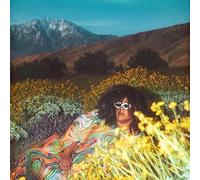 Brittany Howard - What Now