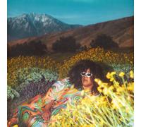 Brittany Howard – What Now – Vinyle LP neuf – Édition explicite – Vinyle coloré clair – Island