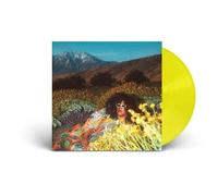 Brittany Howard – What Now – Vinyle LP neuf – Édition explicite – Vinyle coloré clair – Island