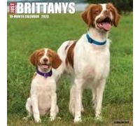 Brittanys 2026 12 X 12 Wall Calendar