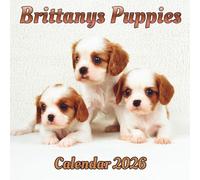 Brittanys Puppies Calendar 2026: 12 month Organizer Jan 2026 to Dec 2026