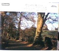 Britten: Complete Music for Strings by Britten