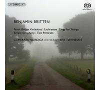 Simple symphony - Elegie CD